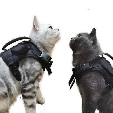 Taktisk Kattesel til Gåture, Flugtsikker, Blød Mesh Justerbar Kæledyrsvest Sele til Stor Kat, Lille Hund_Gave