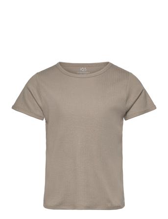 Rib Jersey T-Shirt Grey Copenhagen Colors