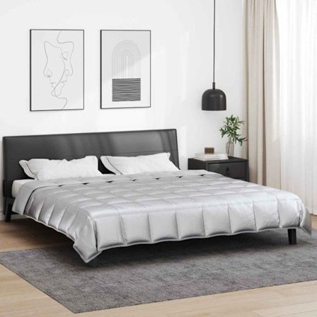 Couette Vidaxl Duvet komplett året runt Silver 240 x 260 cm