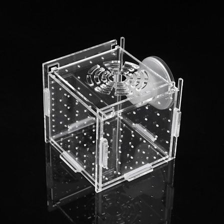 Fish Separation Breeder Box Akryl Transparent Fish for Tank Mini Isolation Box