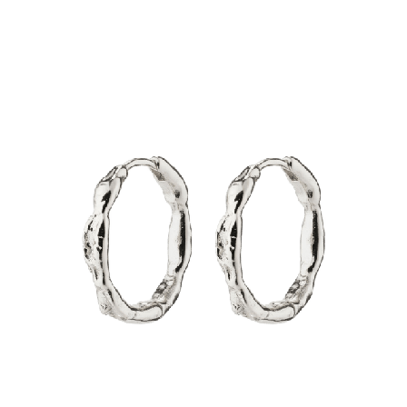 Pilgrim Eddy Earrings Smycken & klockor Dam Silver ONESIZE