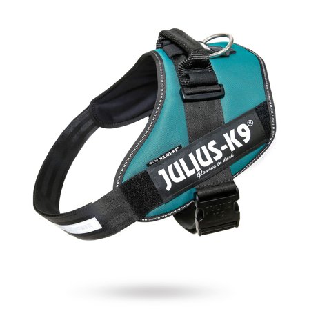 JULIUS-K9 - K9 IDC Hundsele Petrol