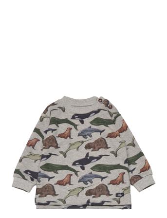 Samy - Sweatshirt Sweatshirt Trøje Multi/mønstret Hust & Claire