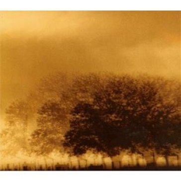 Infinite light ltd. Infinite Light Ltd.