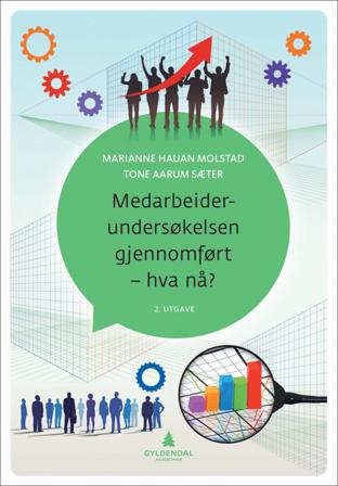 Medarbeiderundersøkelsen gjennomført - hva nå? - Bok av Marianne Hauan Molstad & Tone Aarum Sæter - Paperback