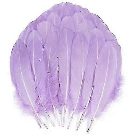 200 stk. Gåse Nagoire Fjer