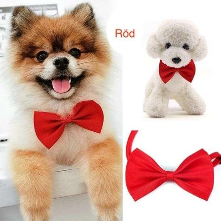 Halsband - Fluga till hund eller katt - Jul