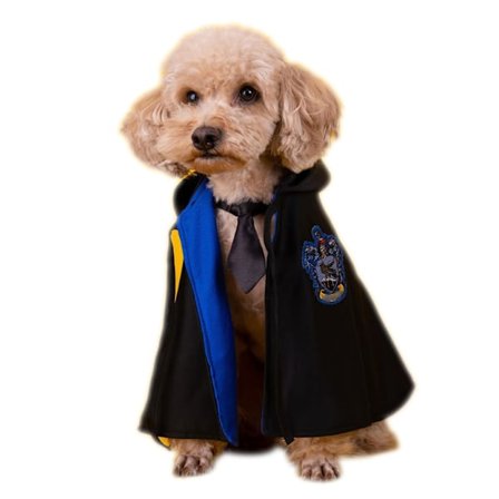 Halloween kostymer husdjur Cape