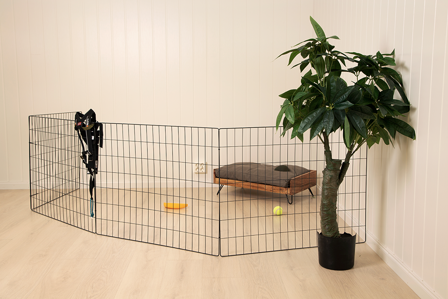 Hundegjerde, 4stk - Grå