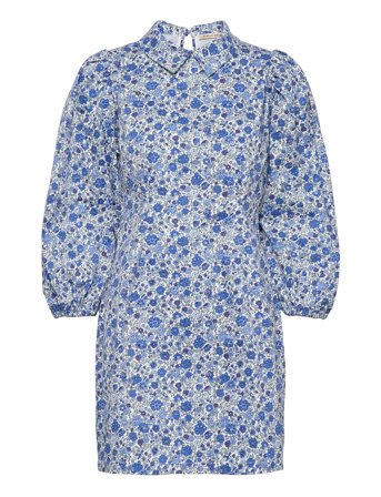 Stella Nova | Aggis My | 40