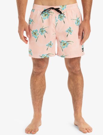 Quiksilver Everyday Straight Volley 15 - Multi/patterned - L