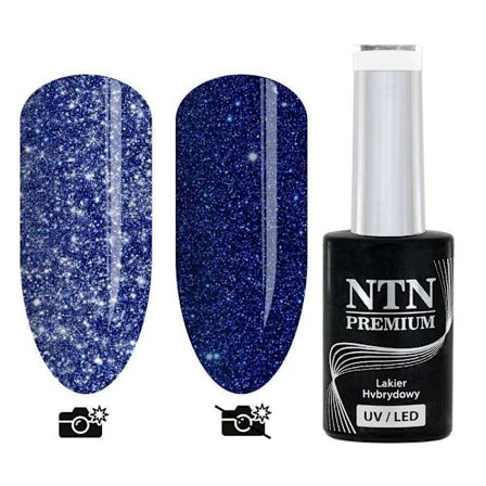 NTN Premium - Gel polish - Moonlight Glow - Nr244 - 5g UV gel/LED
