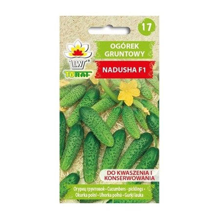 Agurkefrø Nadusha F1 - Højt udbytte og perfekt til syltning