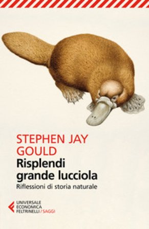 Risplendi grande lucciola. Riflessioni di storia naturale Stephen Jay Gould