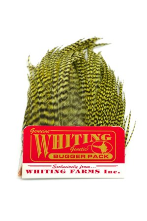 Whiting Bugger Pack Grizzly dyed Olive