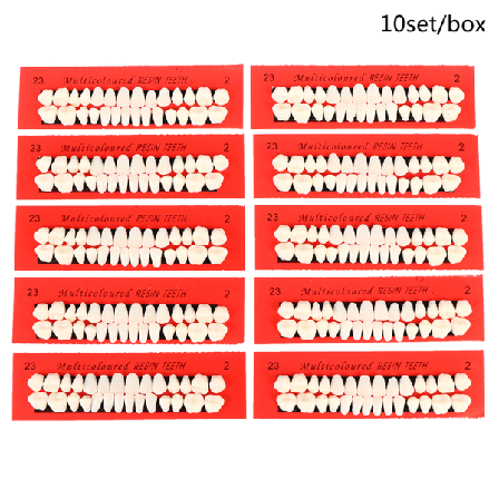 10 Set Harts Teaching Model Falskt Dentalt Material