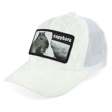 Iconic - White trucker Caps - Kids Youth Capybara Sofa Velvet White Trucker @ Hatstore