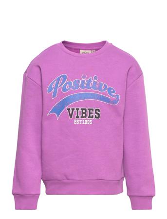 Kogpenny L/S Boxy O-Neck Box Cp Swt Purple Kids Only