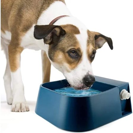 Kæledyrsdrikkedunk, automatisk skåldrikkedunk med flydeventil, til hund (2L, blå)