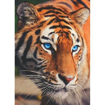 Diamond Painting Kits 12x16 Tommer Tiger Fuld Drill 5D DIY Maleri af Diamantbroderi Kunst Håndværk Mosaikfremstilling til Hjemmevægdekoration