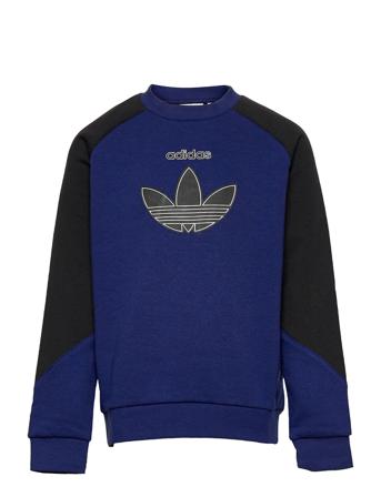 Sprt Sweatshirt Blue Adidas Originals