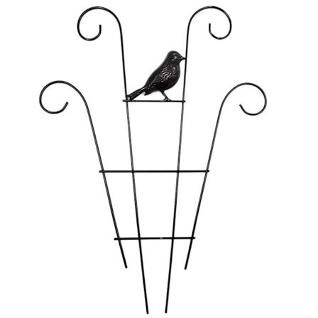 Hagespalier klatreplante Trellis D D