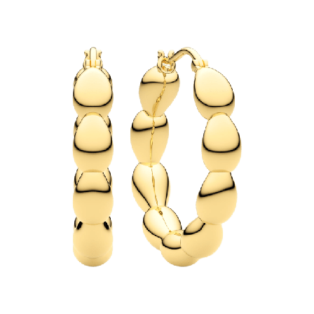 Sif Jakobs Jewellery Örhängen Goccia Cerchietto Dam Guld MEDIUM