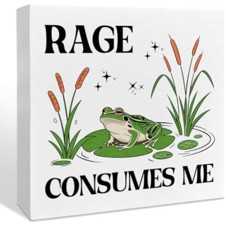 Raivo kuluttaa minua Hauska Sammakko Puulaatikko Toimistopöydän Sisustus Kyltti, Hauskoja Lahjoja Työkavereille, Humoristisia Sarkastisia 