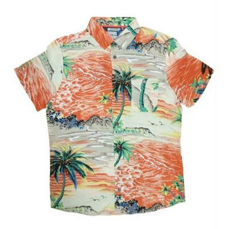 Blend, Half -sleeve shirt Oranje, Heren, Maat:S