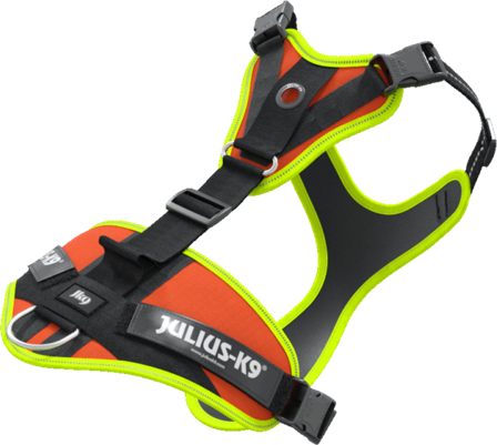 Julius K9 Mantrailing Sele Orange XS-S