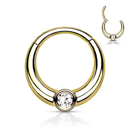 8 mm Segment Ring i IP 316L kirurgiskt stål med vit CZ