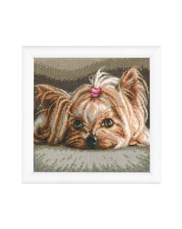 Stickpackung Bild Bella