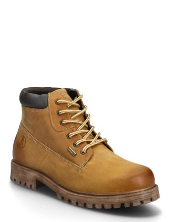 Axelda | Parma Wp | 42