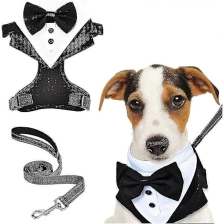 En Formell, Justerbar Hundsmokingsele och Koppelsats med en Reflekterande Anti-Drag Väst och Fluga, perfekt som en Bröllops- eller 