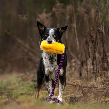 Doggie-Zen Korthåret Elastisk Belønningsleke i Fuskepels - L