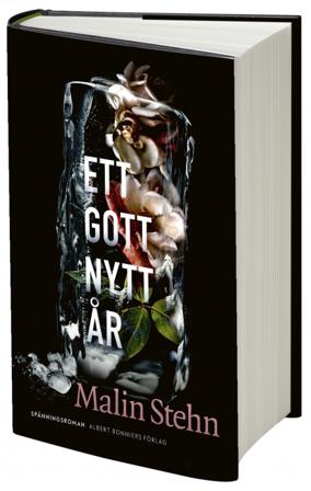 Ett gott nytt år - Bok av Malin Stehn - Inbunden