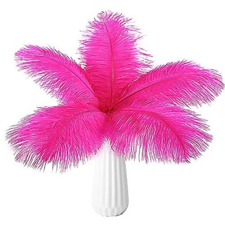 10 st strutsfjädrar naturlig bulk