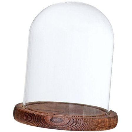 1 stk serie klart glass planter og blomsterholder kuppel display deksel saftig terrarium