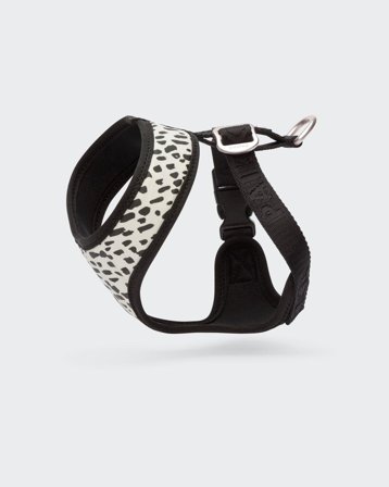 Paikka Mesh Hundesele 2.0 - XXS