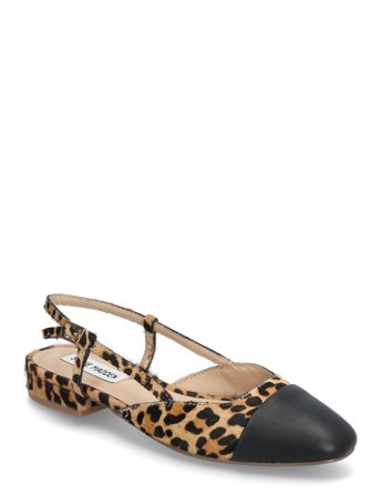 Steve Madden | Belinda-L Ballerina | 42