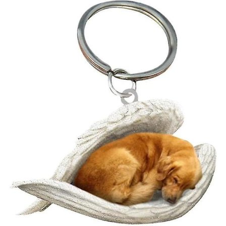 2 kpl Enkeli Nukkuva Koira Akryyli Avaimenperät Riipukset Kodin Sisustus Koristeet Kirjoitusvälineet Lahjat Kultainennoutaja