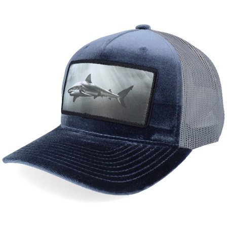 Calza Pennello - Grigio trucker Cappellino - Shark Big Patch Velvet Grey Trucker @ Hatstore