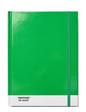 PANTONE Pantone Notebook L Dotted - Green - L