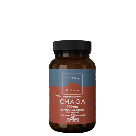 Terra Nova Chaga 500 mg 50 kapslar
