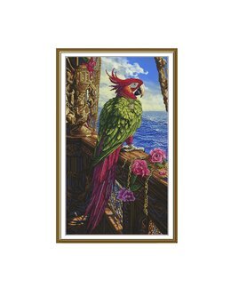 Stickpackung Bild Pirat - Nova Sloboda