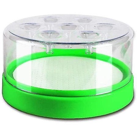 Flugsnappa Indoor Outdoor Flugsnappare Killer Hem Köket