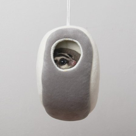 2 stk kjæledyrrede, flygende mus, nederlandsk griserede, fuglerede anheng, chinchilla hengekøye, pinnsvin, varm mus, bomullsrede