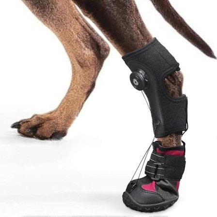 LStrap-On Drop Foot Brace All-Terrain No Knuckling Drop Foot Boot Brace för Hundar som Släpar Tassarna - Korrigerande Utomhus Husdjurssko