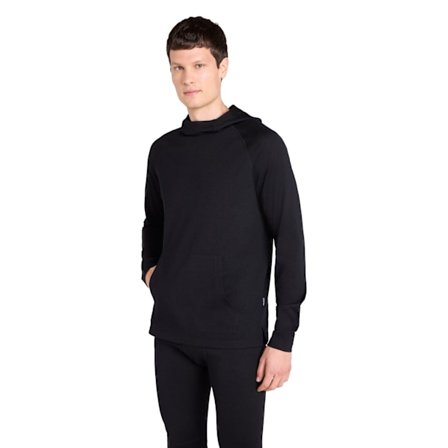 Animal Merino Ull Hoodie Herr L Svart