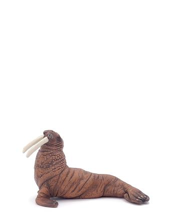 Walrus Patterned Papo